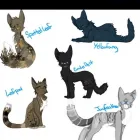 Virksomhet 1 bilde EMILIA PRESS AS - EMILIA FORLAG Utgivelse av bøker i Oslo 18