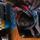 Virksomhet 2 bilde EMILIA PRESS AS - EMILIA FORLAG Utgivelse av bøker i Oslo 18