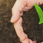 Virksomhet 3 bilde GRØNN FREMTID i Frogner 02