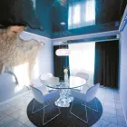 Virksomhet 18 bilde RADISSON BLU PLAZA HOTEL, OSLO Drift av hoteller, pensjonater og moteller med restaurant i Oslo 18