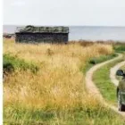 Virksomhet 14 bilde SHELL / 7-ELEVEN ALFASET Detaljhandel med drivstoff til motorvogner i Oslo 18