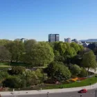 Virksomhet 1 bilde TANNLEGE MAI SOLGUNN GLASØ SLÅTTEBREKK i Oslo 18