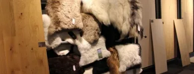 Virksomhet 6 bilde GARANTHOME.NO i Stavanger 11