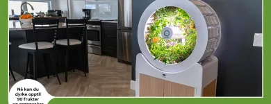 Virksomhet 1 bilde MY GREENHOUSE AS - NORGES SMARTESTE DRIVHUS Dyrking av grønnsaker, meloner, rot- og knollvekster i Lier 06