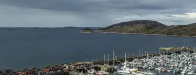 Virksomhet 19 bilde RADISSON BLU HOTEL, BODØ Drift av hoteller, pensjonater og moteller med restaurant i Bodø 18