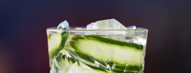 Virksomhet 24 bilde RADISSON BLU HOTEL, BODØ Drift av hoteller, pensjonater og moteller med restaurant i Bodø 18