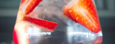 Virksomhet 45 bilde RADISSON BLU HOTEL, BODØ Drift av hoteller, pensjonater og moteller med restaurant i Bodø 18