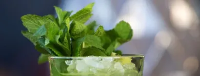 Virksomhet 54 bilde RADISSON BLU HOTEL, BODØ Drift av hoteller, pensjonater og moteller med restaurant i Bodø 18