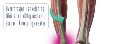 Virksomhet 2 bilde Z+ STAVANGER Butikkhandel med sportsutstyr i Stavanger 11